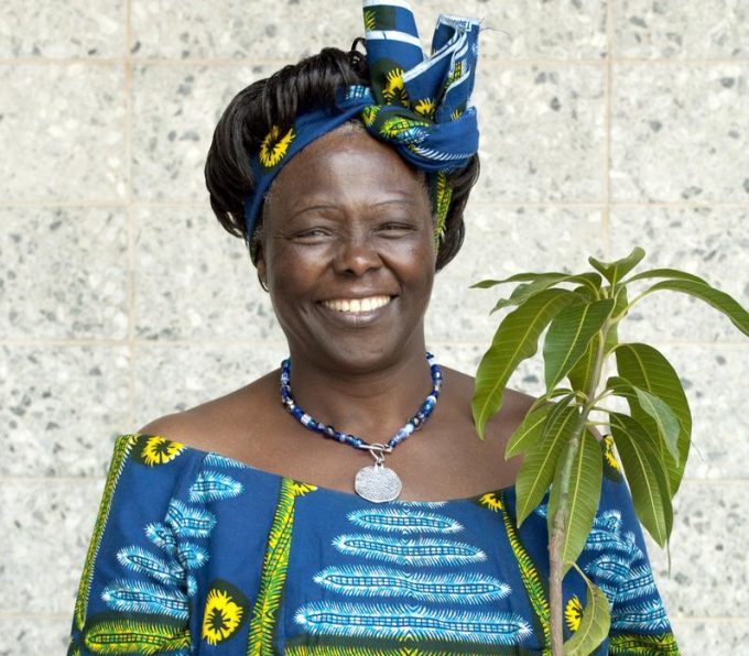 Wangari Maathai - Hannes Software Engineering